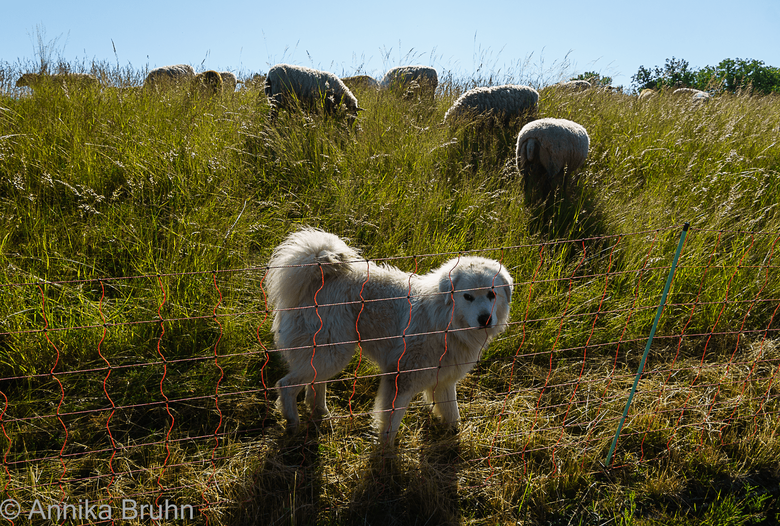 Ich hab dich genau im Blick!